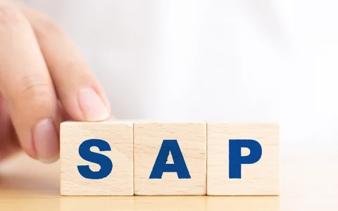 Descubra de uma vez por todas como funciona o SAP e como utilizá-lo para relações externas