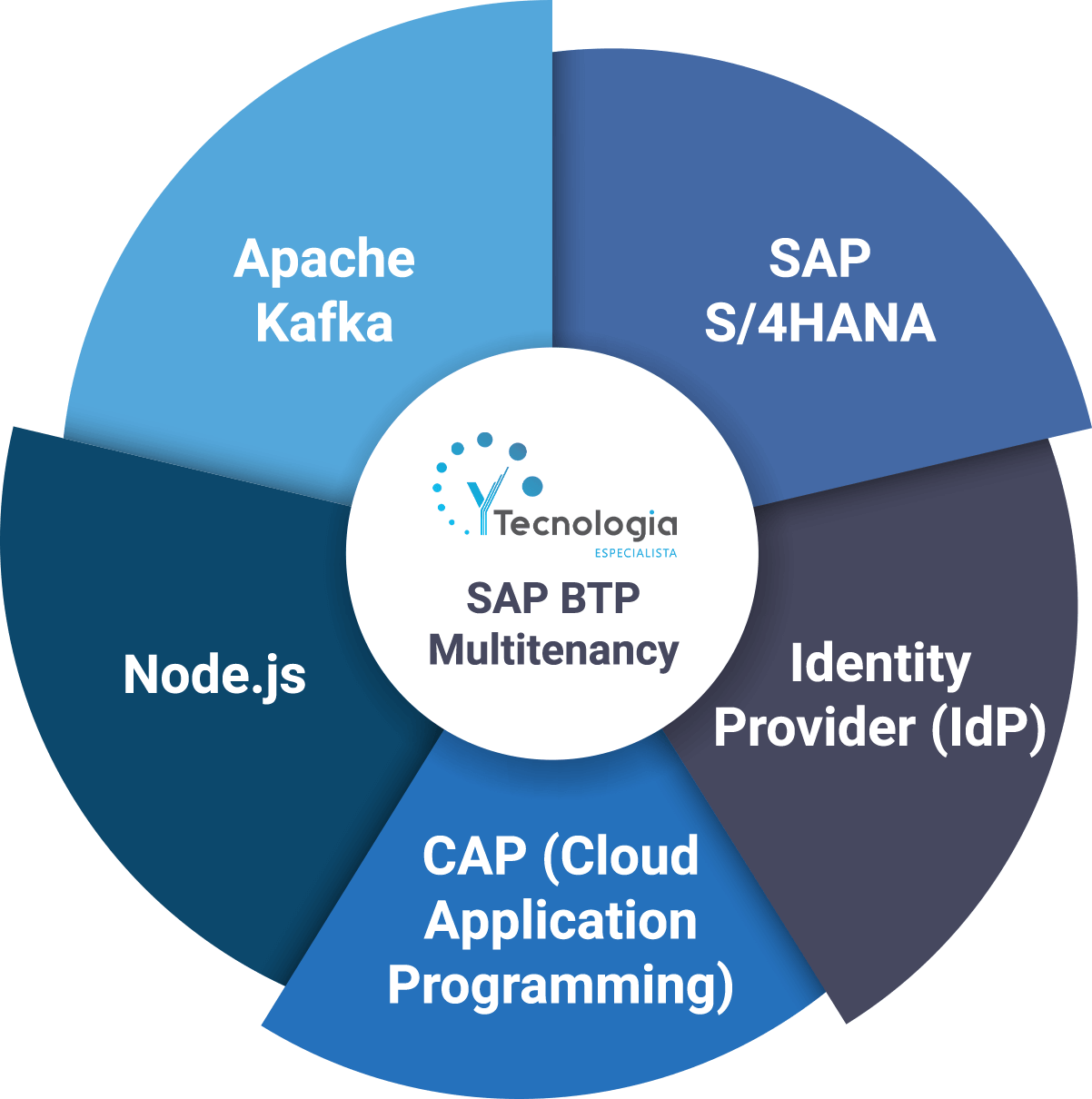 YTecnologia - Mandala SAP BTP Multitenancy (1)